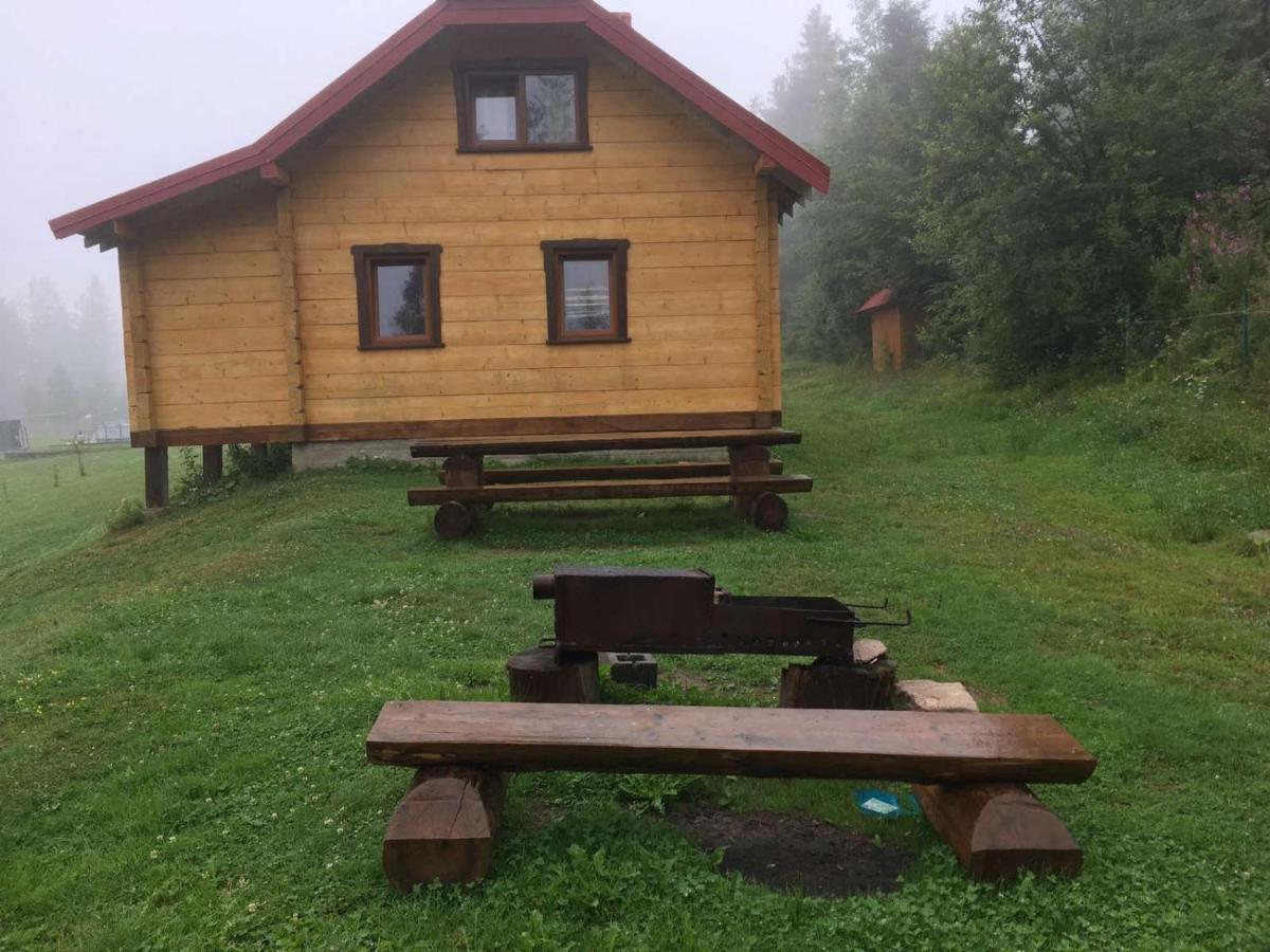 Baza Vidpochynku Ilz Villa Slavske Exterior photo