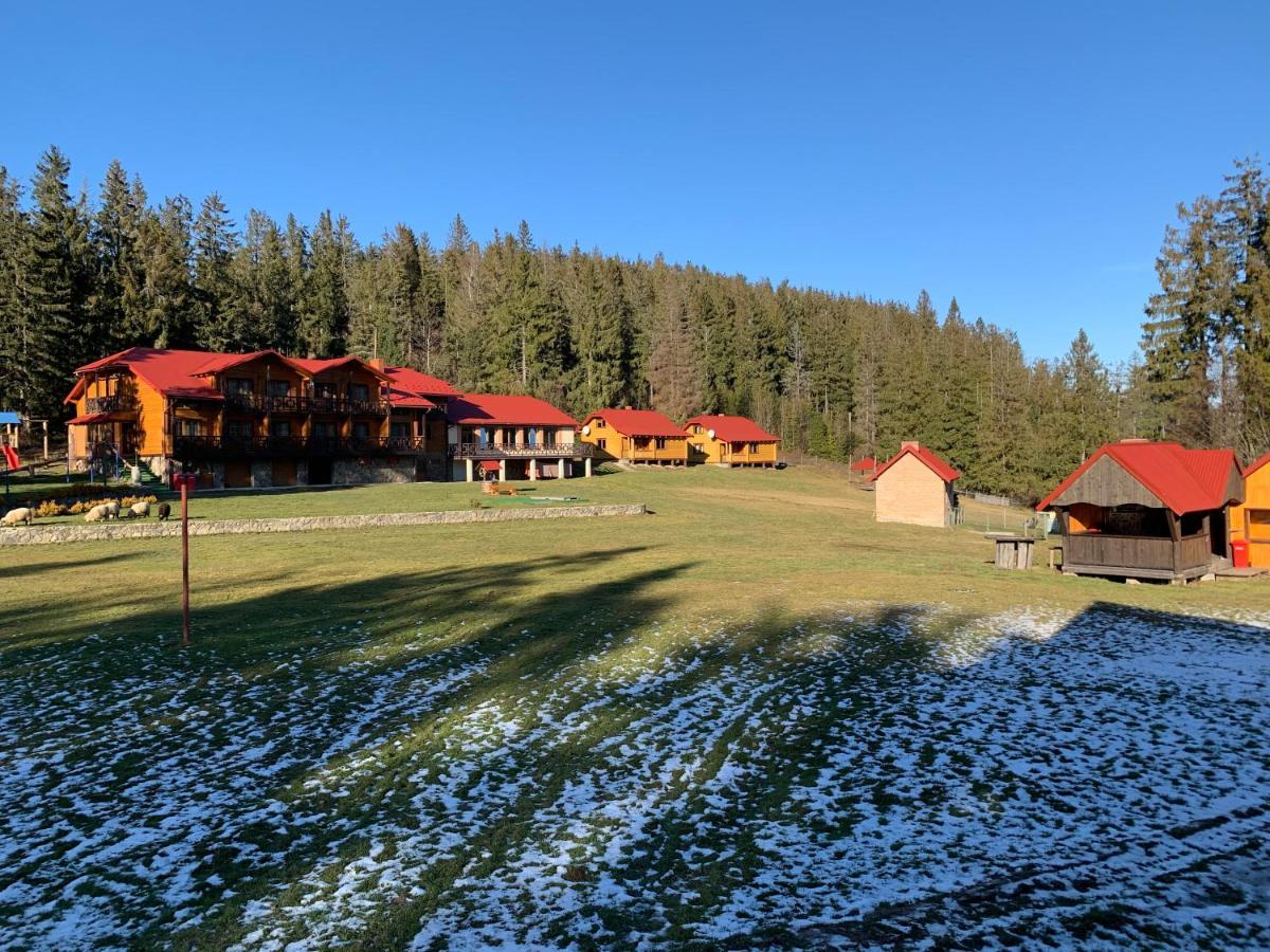 Baza Vidpochynku Ilz Villa Slavske Exterior photo